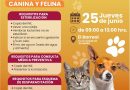 Atlixco impulsa bienestar animal y promueve jornada de esterilización