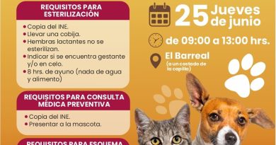 Atlixco impulsa bienestar animal y promueve jornada de esterilización