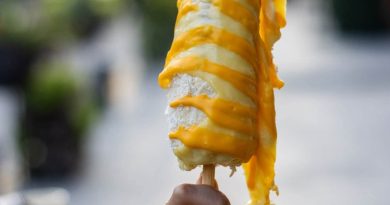 Disfruta de la Elotada 2026 en Atlixco con nuevas atracciones