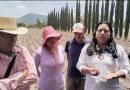 Ana Laura Altamirano respalda a productores de flor de cempasúchil de Atlixco