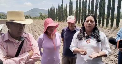 Ana Laura Altamirano respalda a productores de flor de cempasúchil de Atlixco