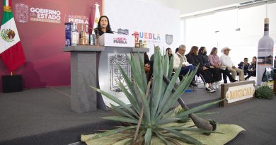 Gobierno del Estado impulsa a Puebla como potencia mezcalera