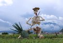 Todo listo para disfrutar del Festival Valle de Catrinas en Atlixco